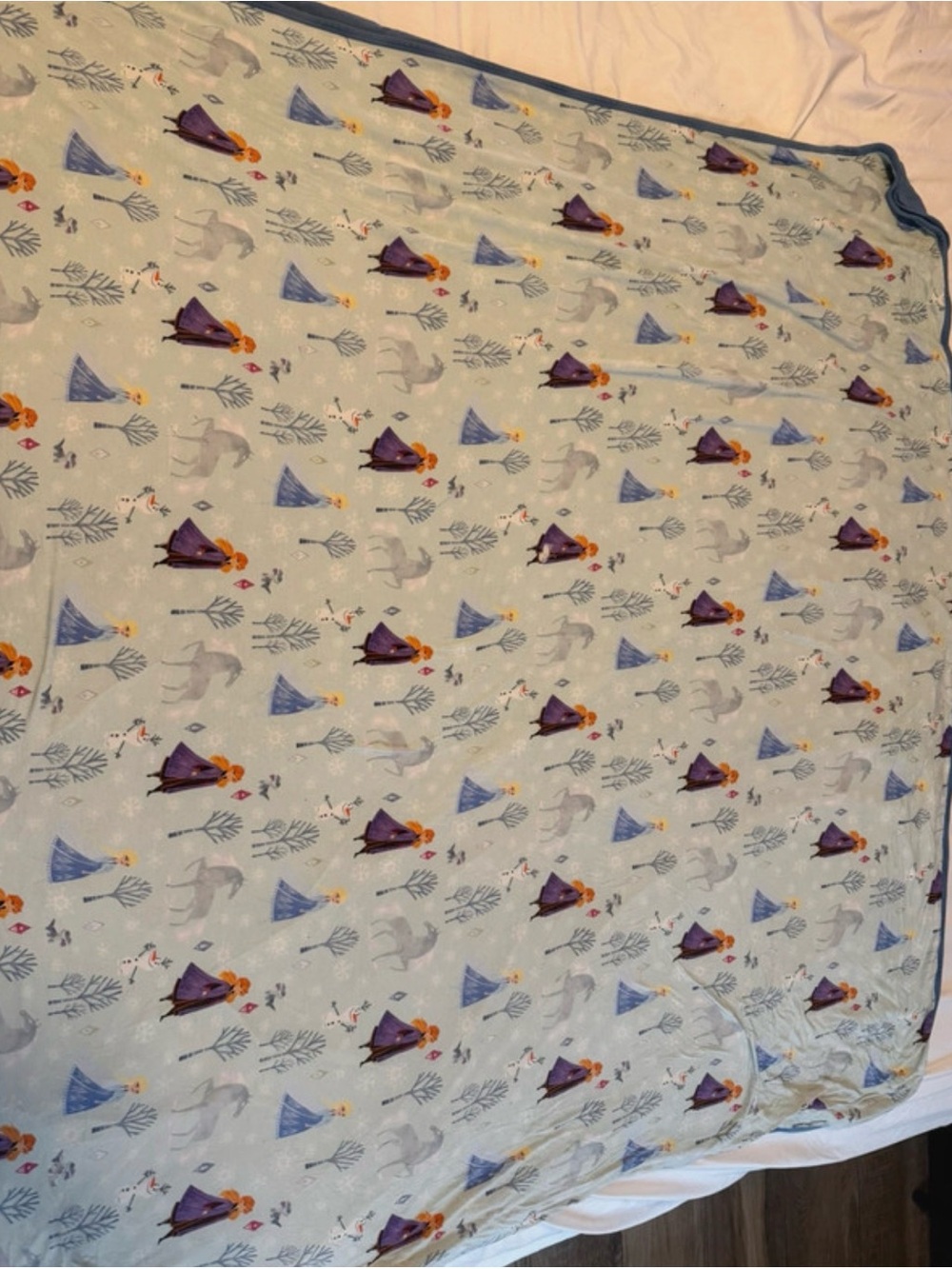 Little Sleepies Princess & Forest Print Blanket - Blue & Purple
